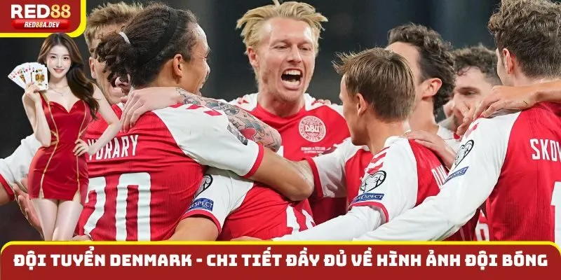 Đội Tuyển Denmark